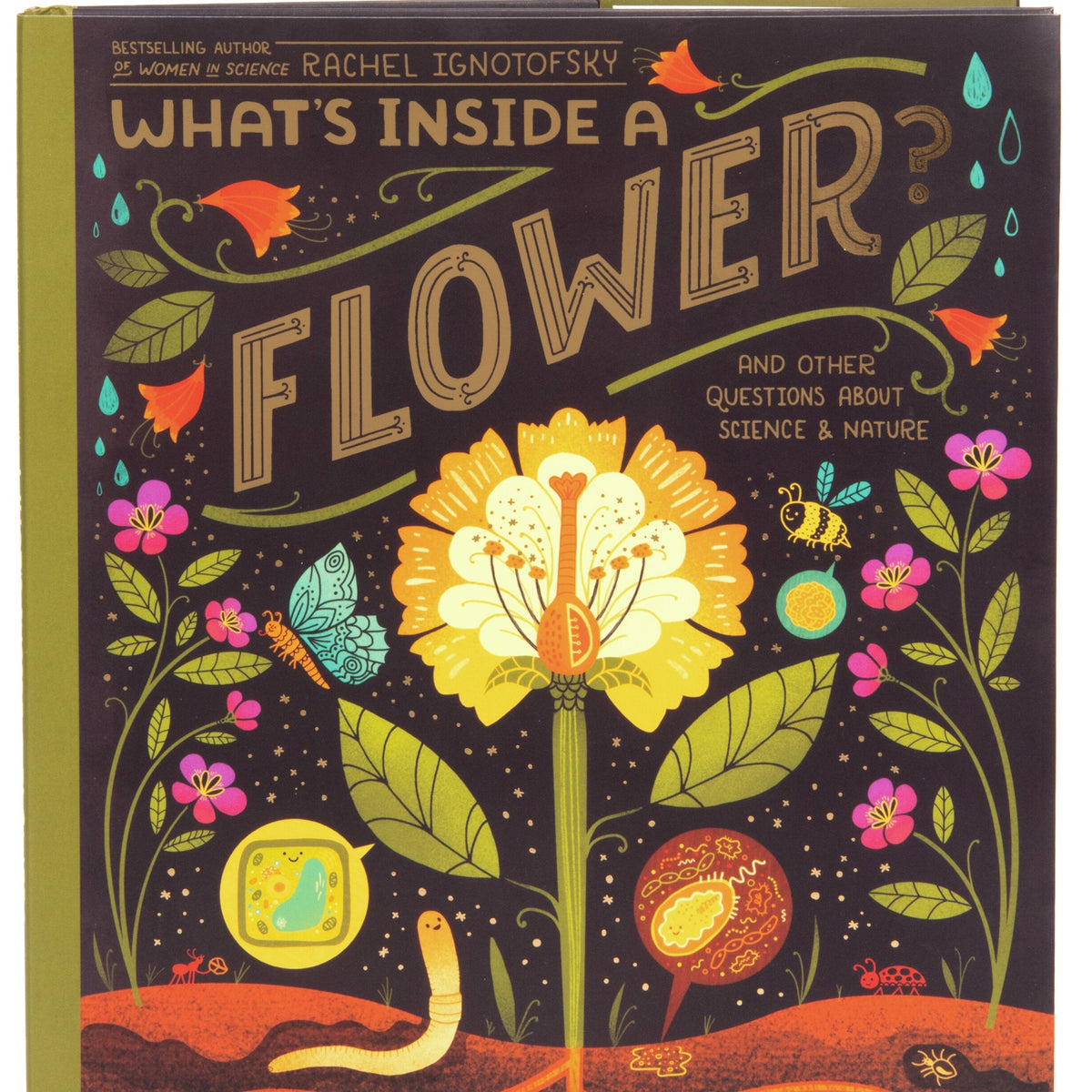 What&#39;s Inside a Flower?