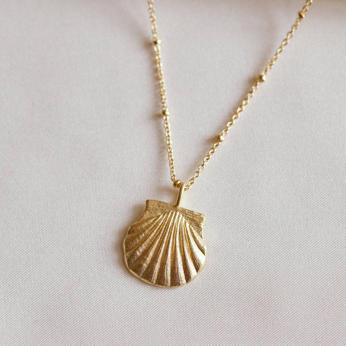 close up picture of shell necklace