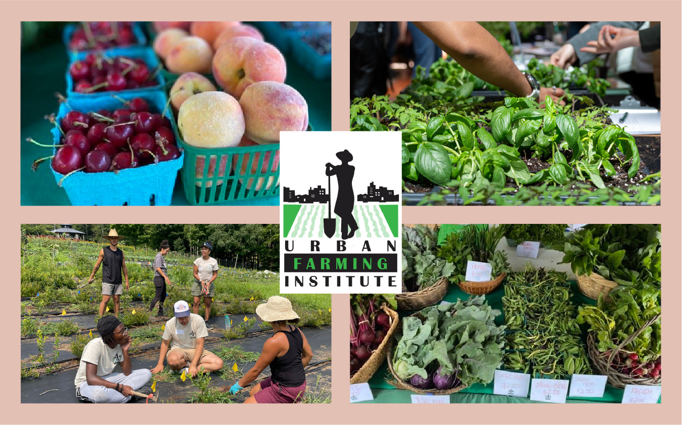 Collage of UFI's programs and produce