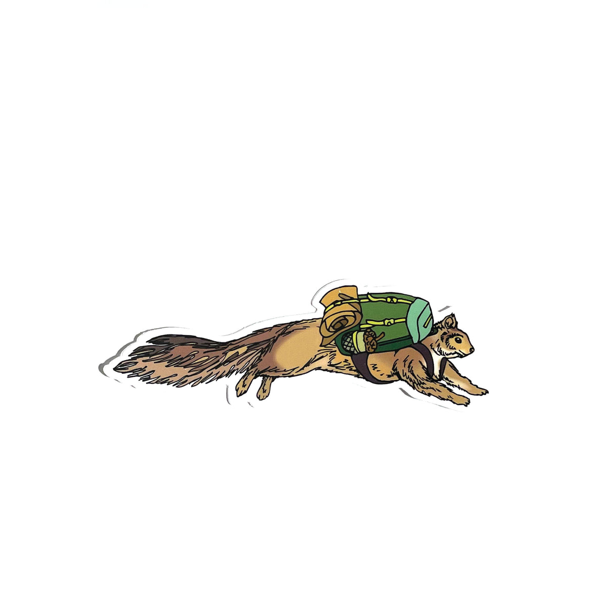 Illustration of a squirrel with a backpack on a white background