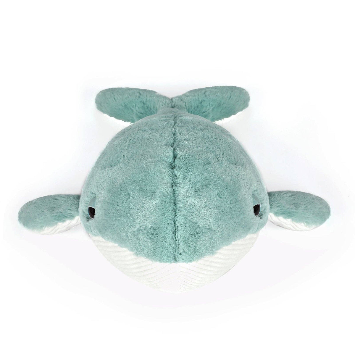 Plush turtle toy on a white background