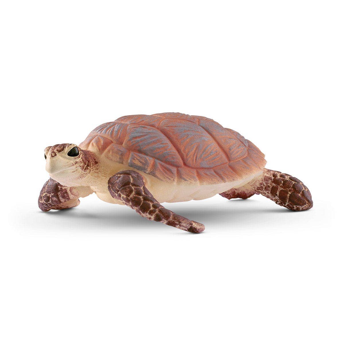 Toy turtle on a white background