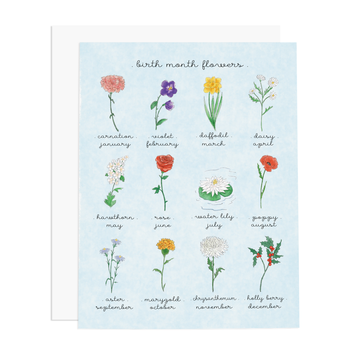 Chart of birth month flowers with illustrations and names on a light blue background