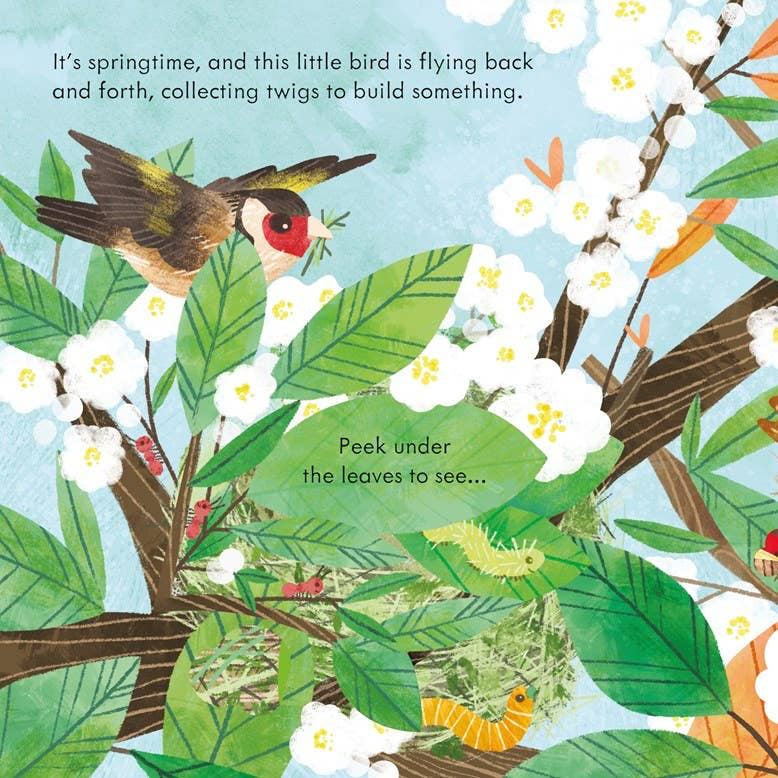 Illustration of birds and a nest in a colorful natural setting with text.