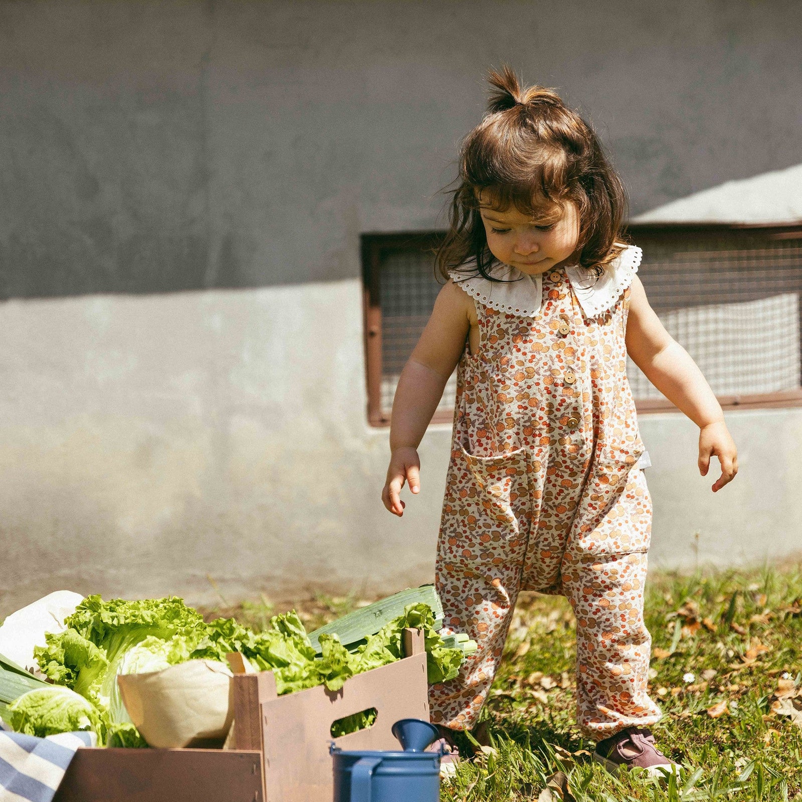 Child in a garden with vegetables and a chicken coop in the background