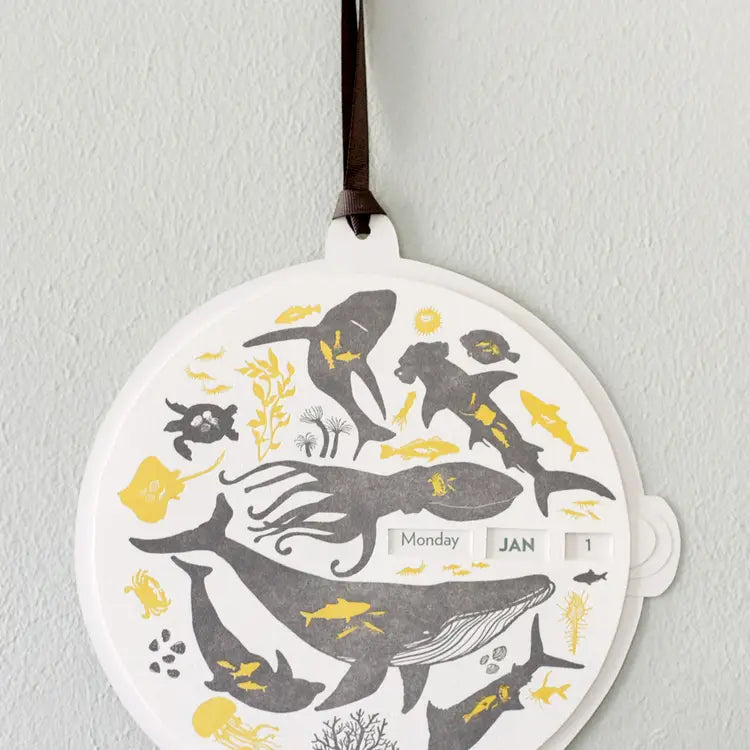 close up of sea animal calendar