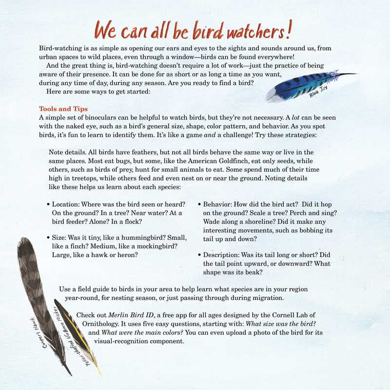 Educational leaflet about bird watching with text and illustrations of feathers on a light blue background.