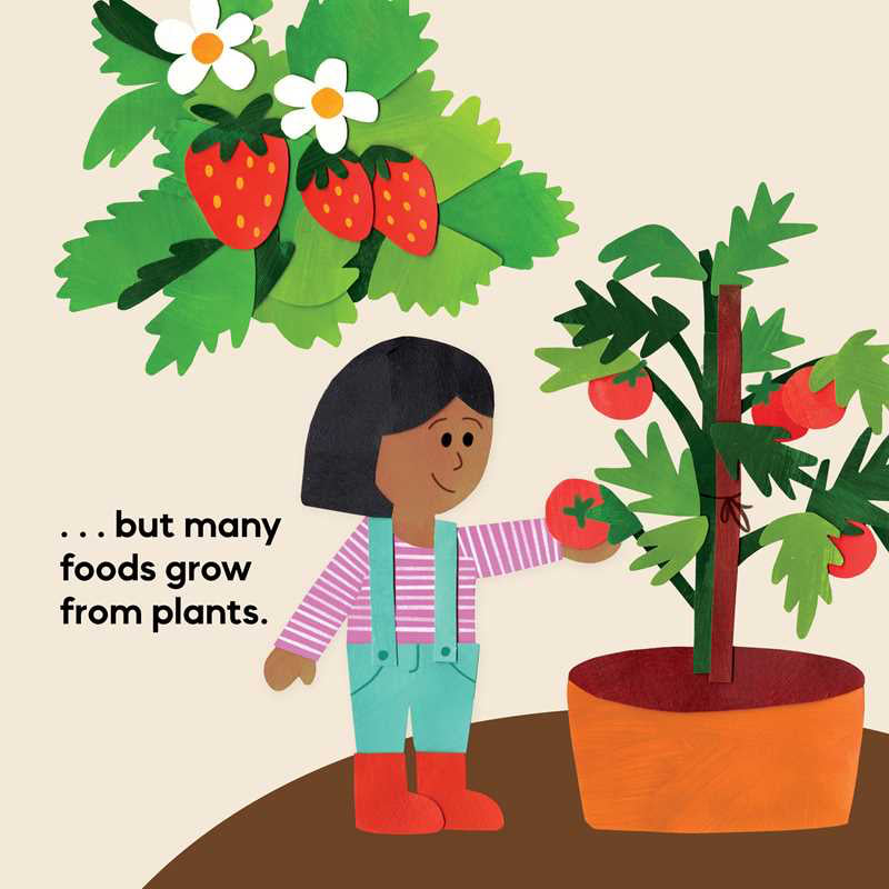Illustration of plants and a child with text about foods growing from plants.