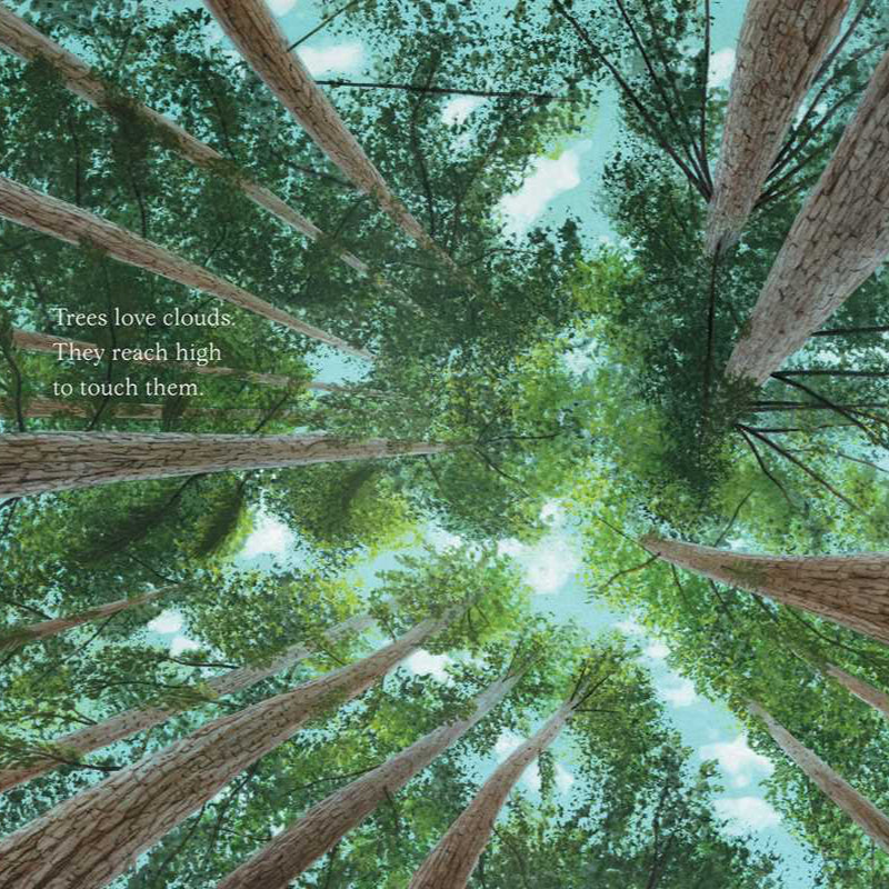 View from the ground looking up at tall trees with a clear blue sky.