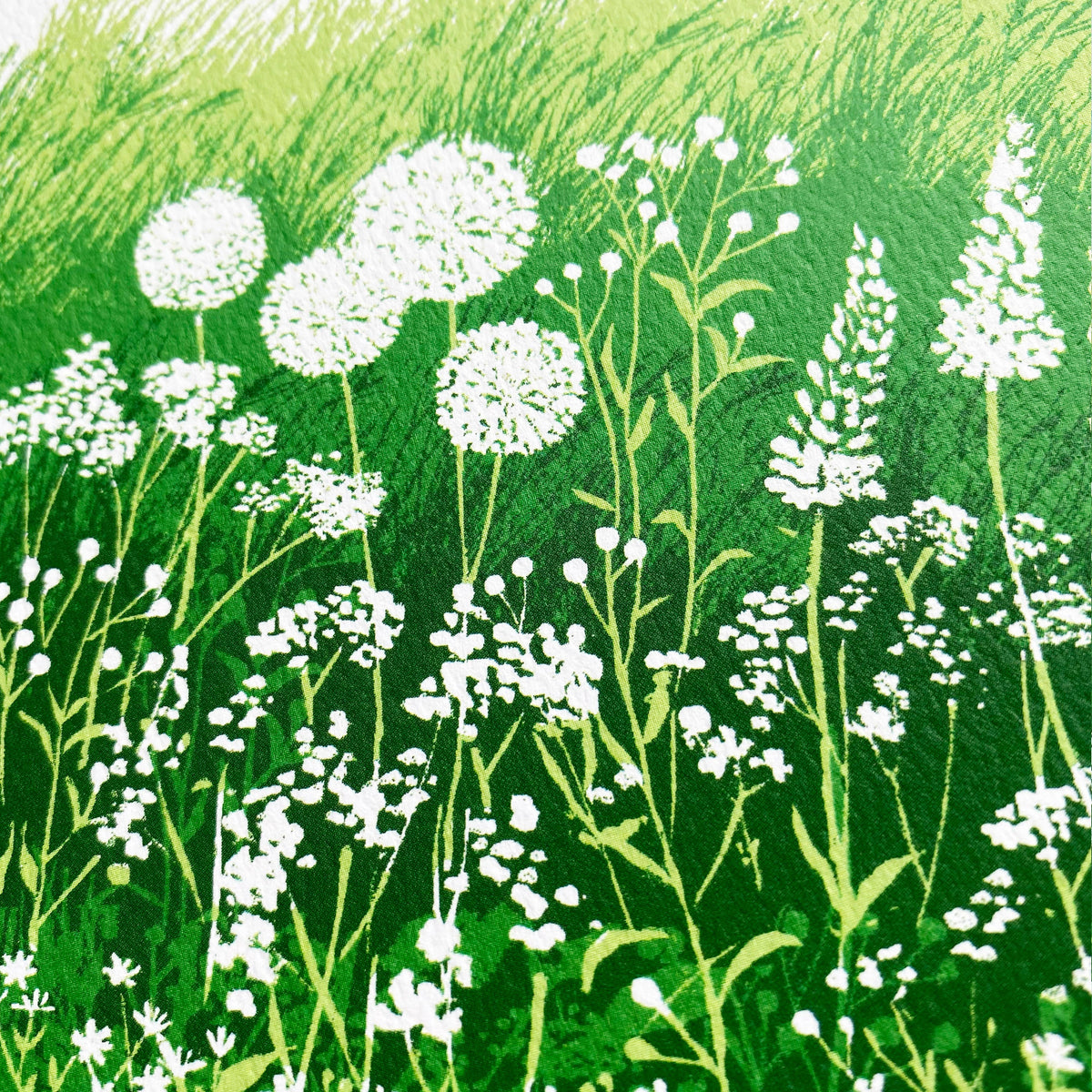Illustration of white flowers and green grass on a green background