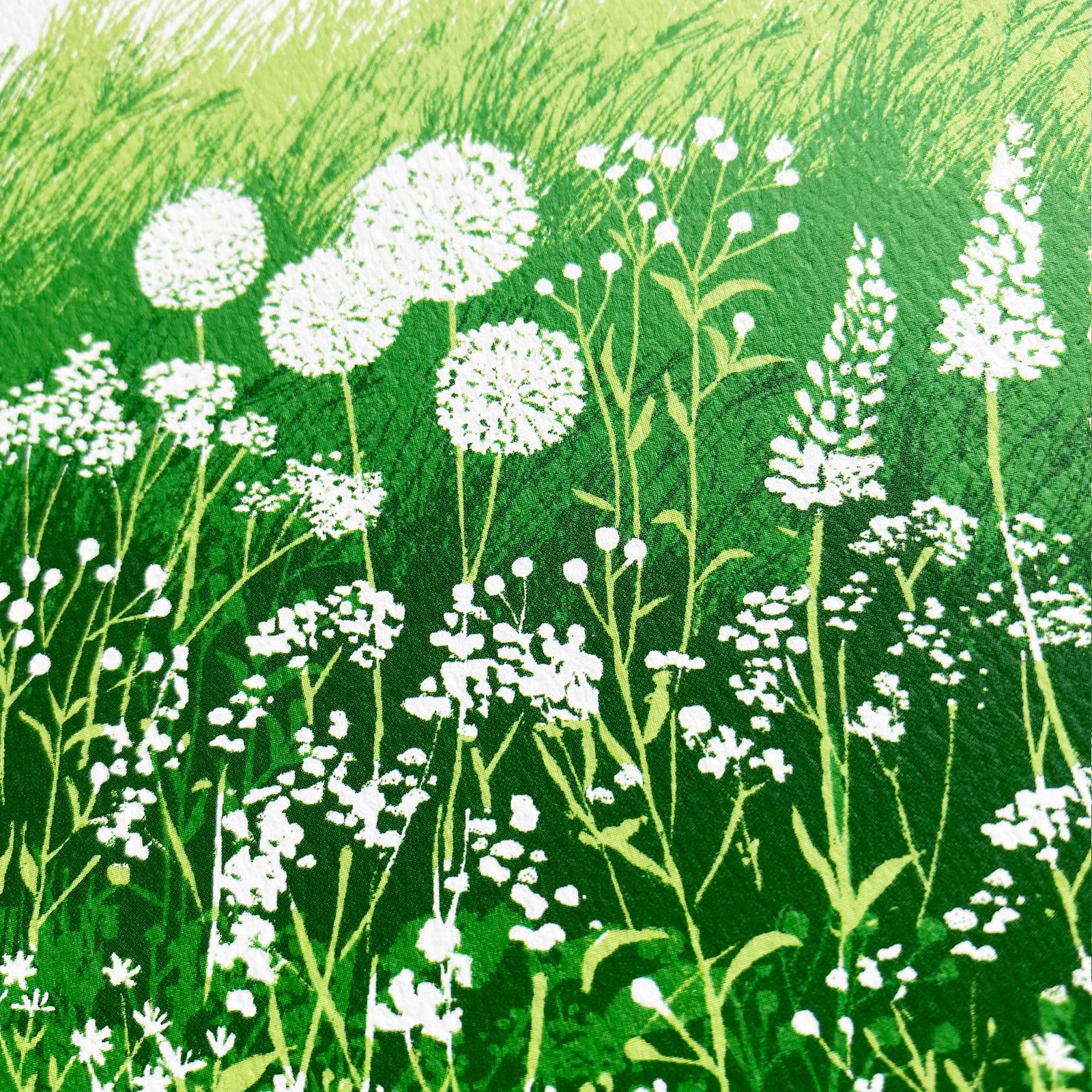 Greeting card with a field of green grass and white flowers, and 'Happy Birthday' text.