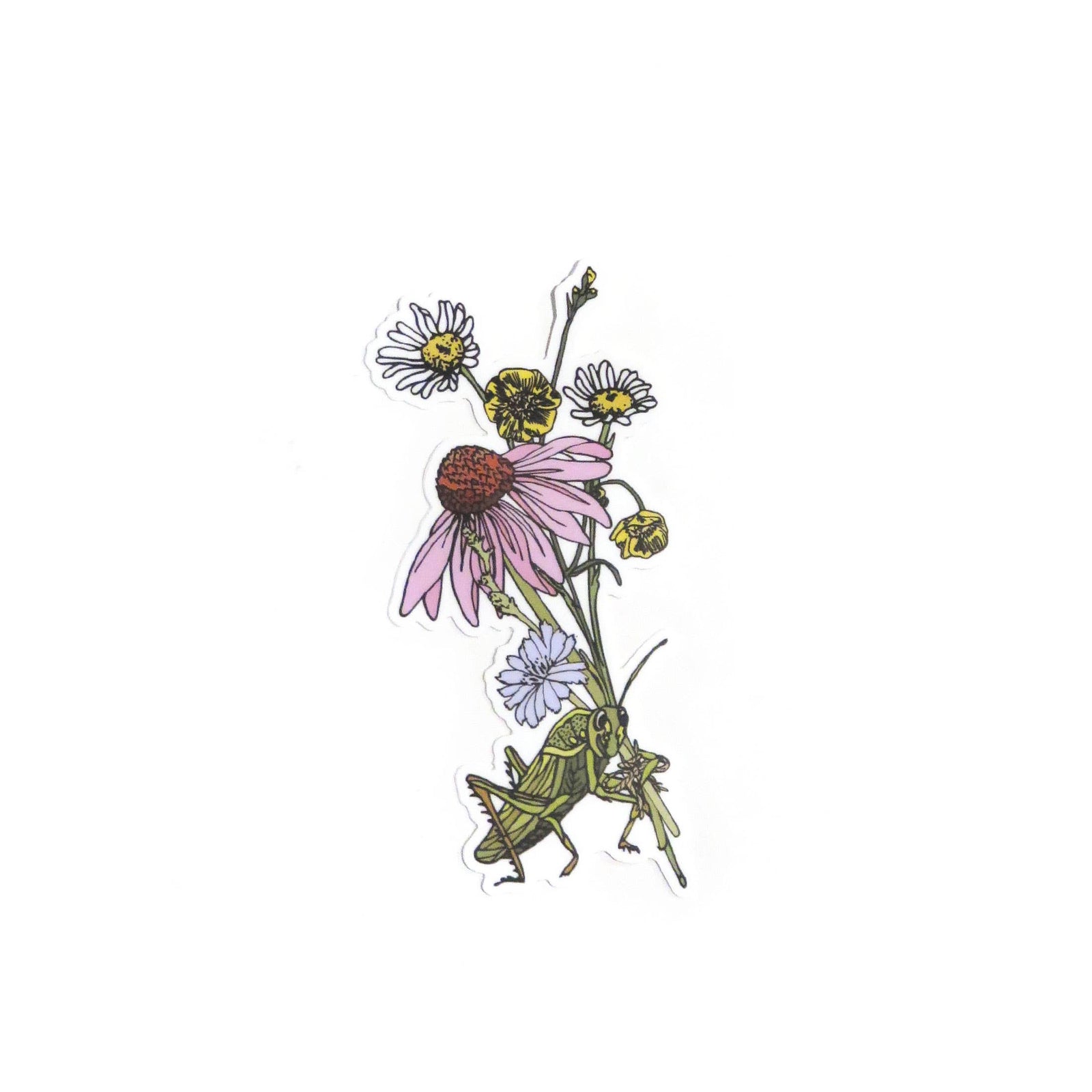 Illustration of a grasshopper on flowers with a white background