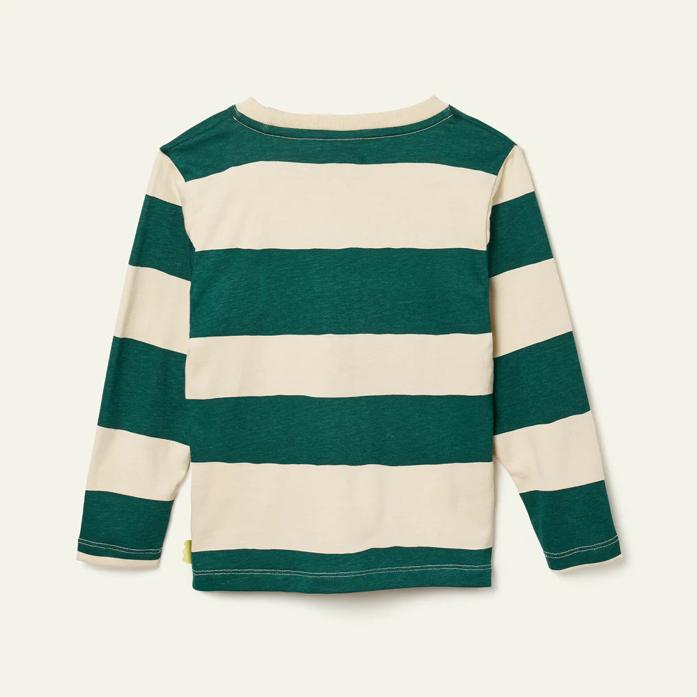 the back of a Green and beige striped long-sleeve shirt on a white background