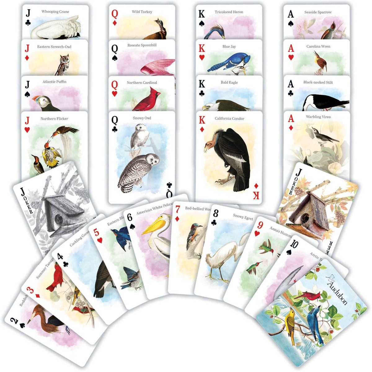 Set of playing cards with bird illustrations on each card