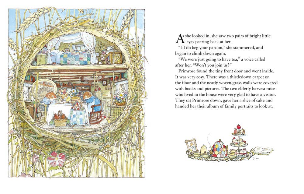 Book cover of 'Autumn Story' from Brambly Hedge series by Jill Barklem with colorful autumn-themed illustrations.