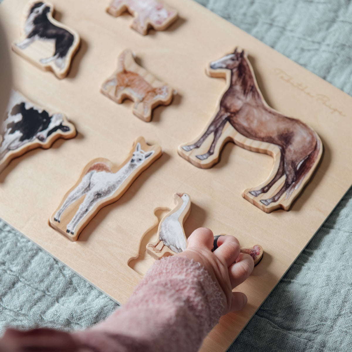 Wooden puzzle with animal shapes on a textured surface