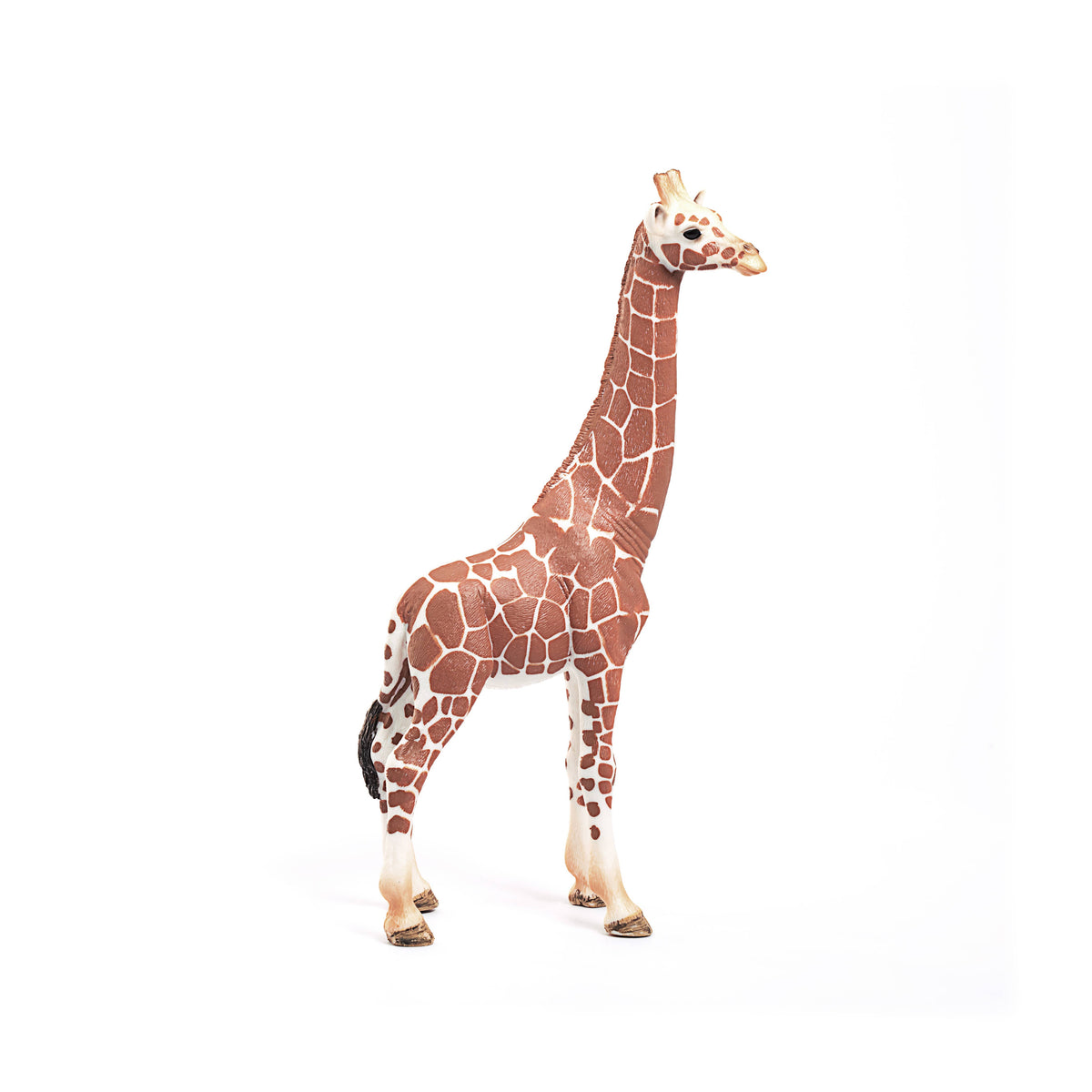Giraffe toy figure on a white background