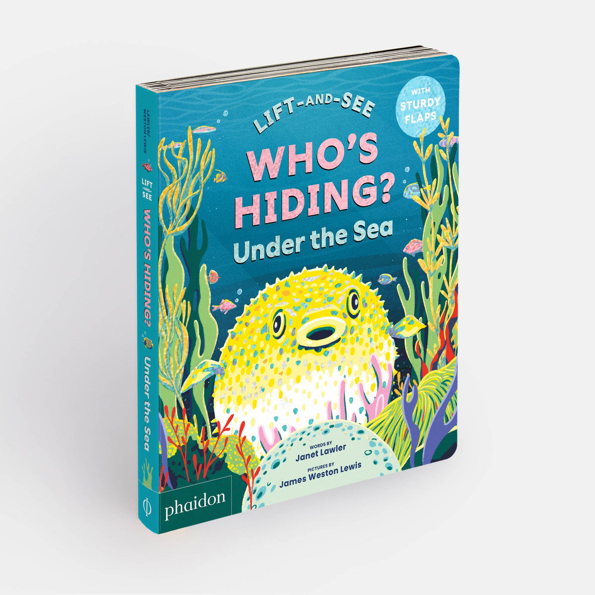 Children's book titled 'Who's Hiding? Under the Sea' with a colorful cover featuring a fish and underwater elements.