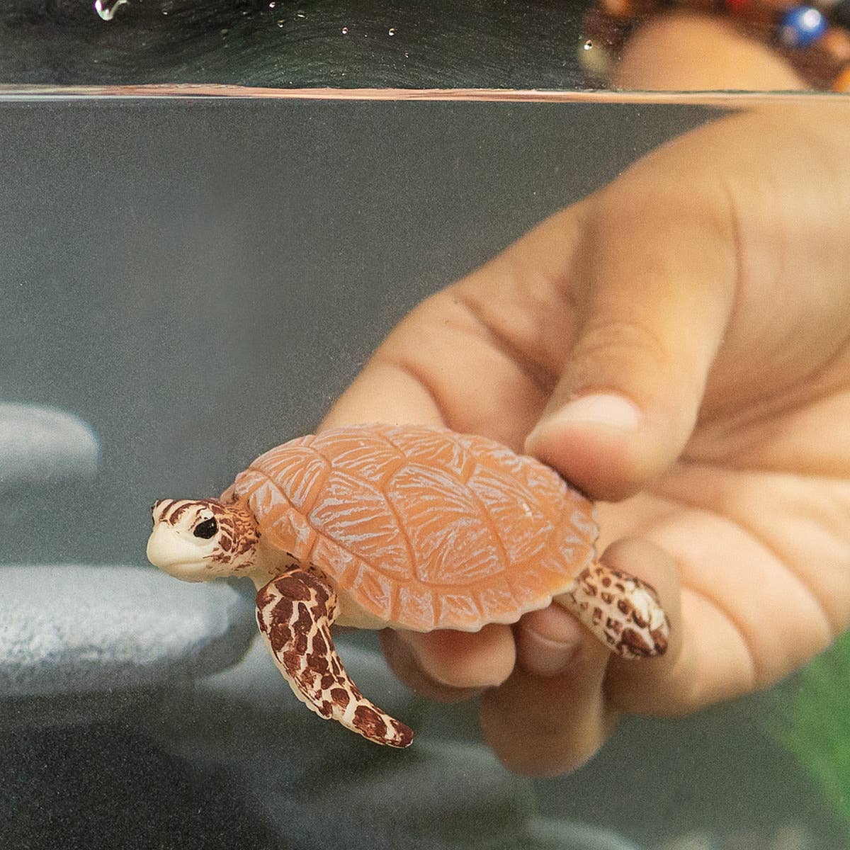 Toy turtle on a white background
