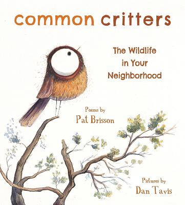 Common Critters