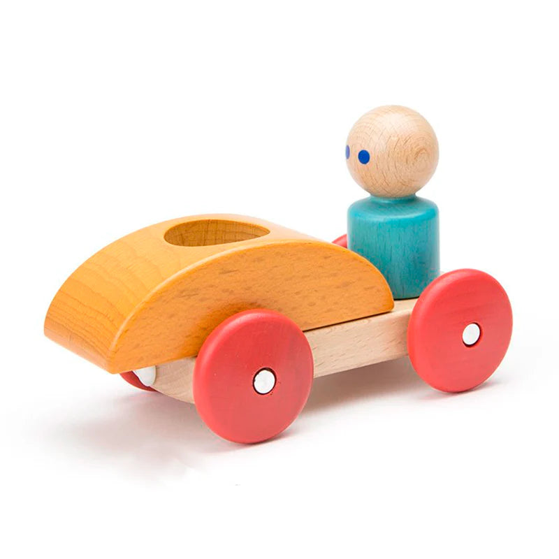 Tegu Magnetic Racer
