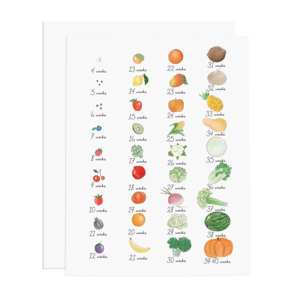 Illustration of fruits and vegetables with corresponding weeks on a white background