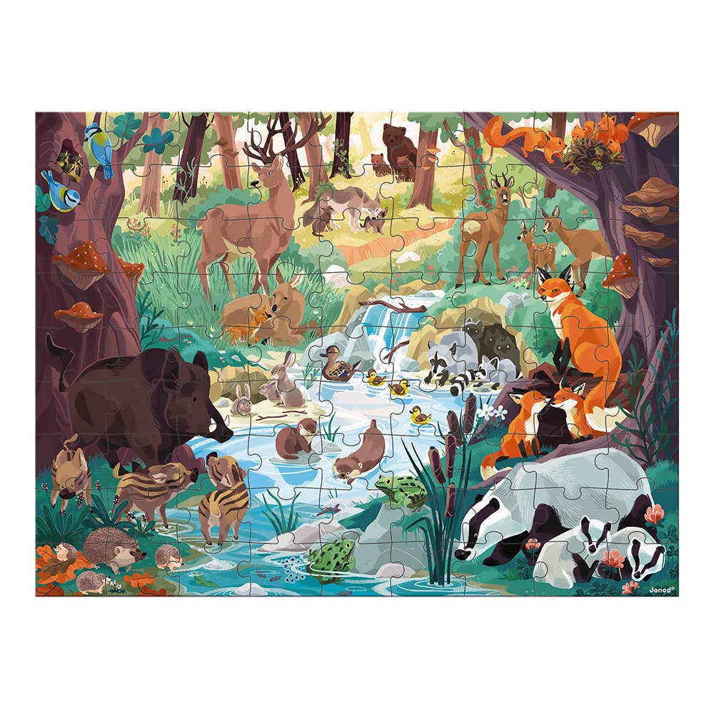 Forest Animals Seek &amp; Find