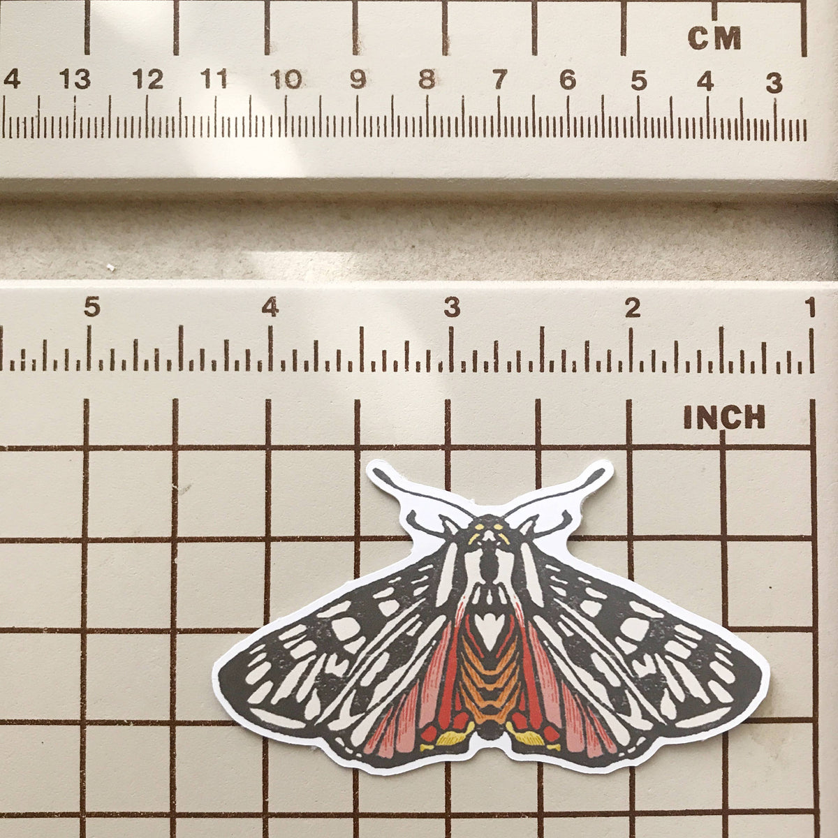 Grammia Tiger Moth Butterfly Sticker