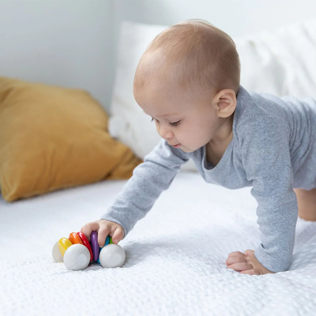 Colorful wooden toy with multicolors on a white background