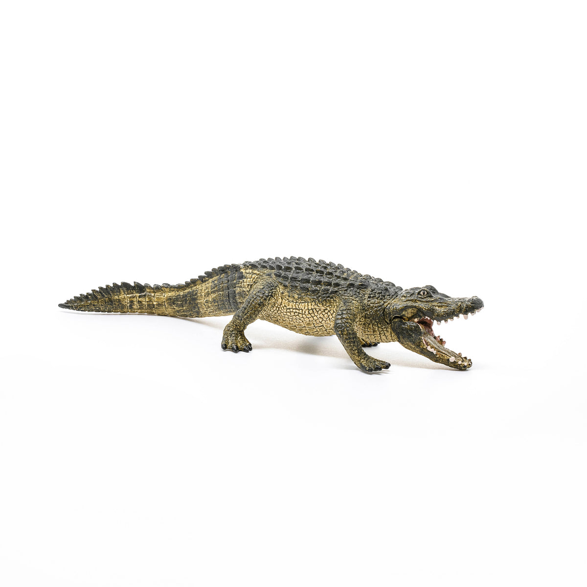 Toy alligator on a white background