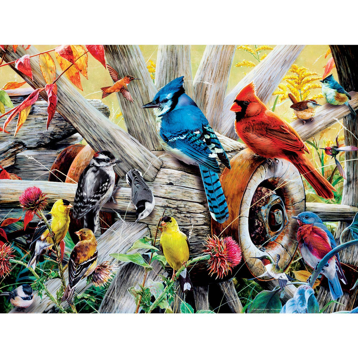 Colorful illustration of various birds on a wooden fence with autumn leaves and flowers.