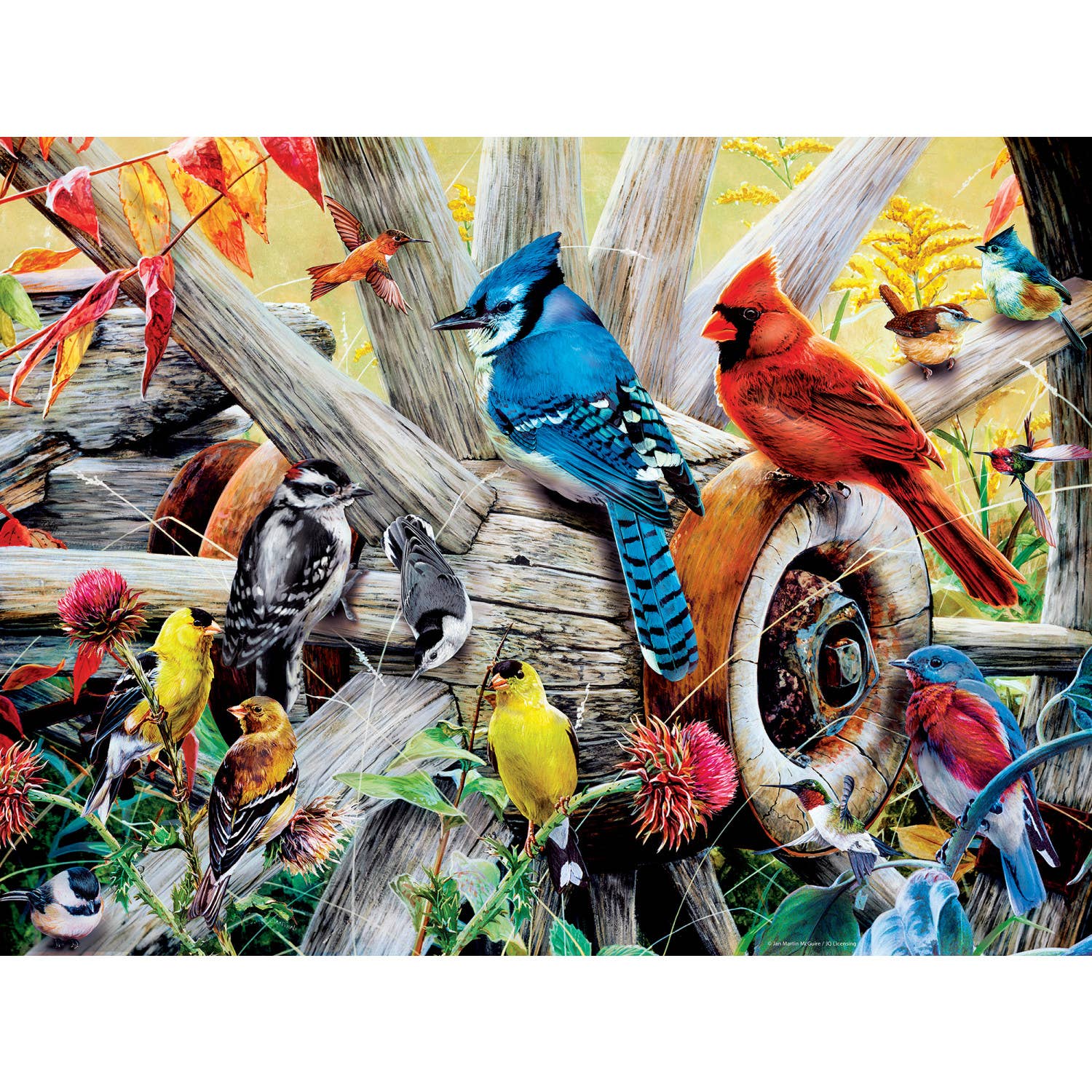Audubon bird puzzle box with colorful birds on a branch