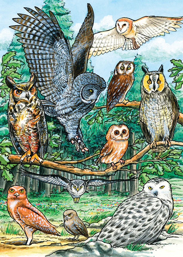 Illustration of various types of owls in a forest setting