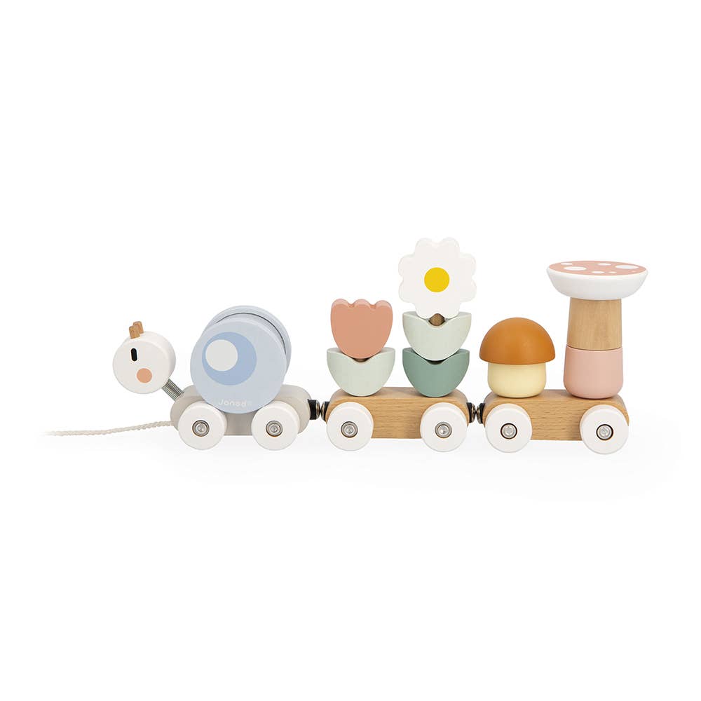 Colorful wooden toy train with various shaped cars on a white background
