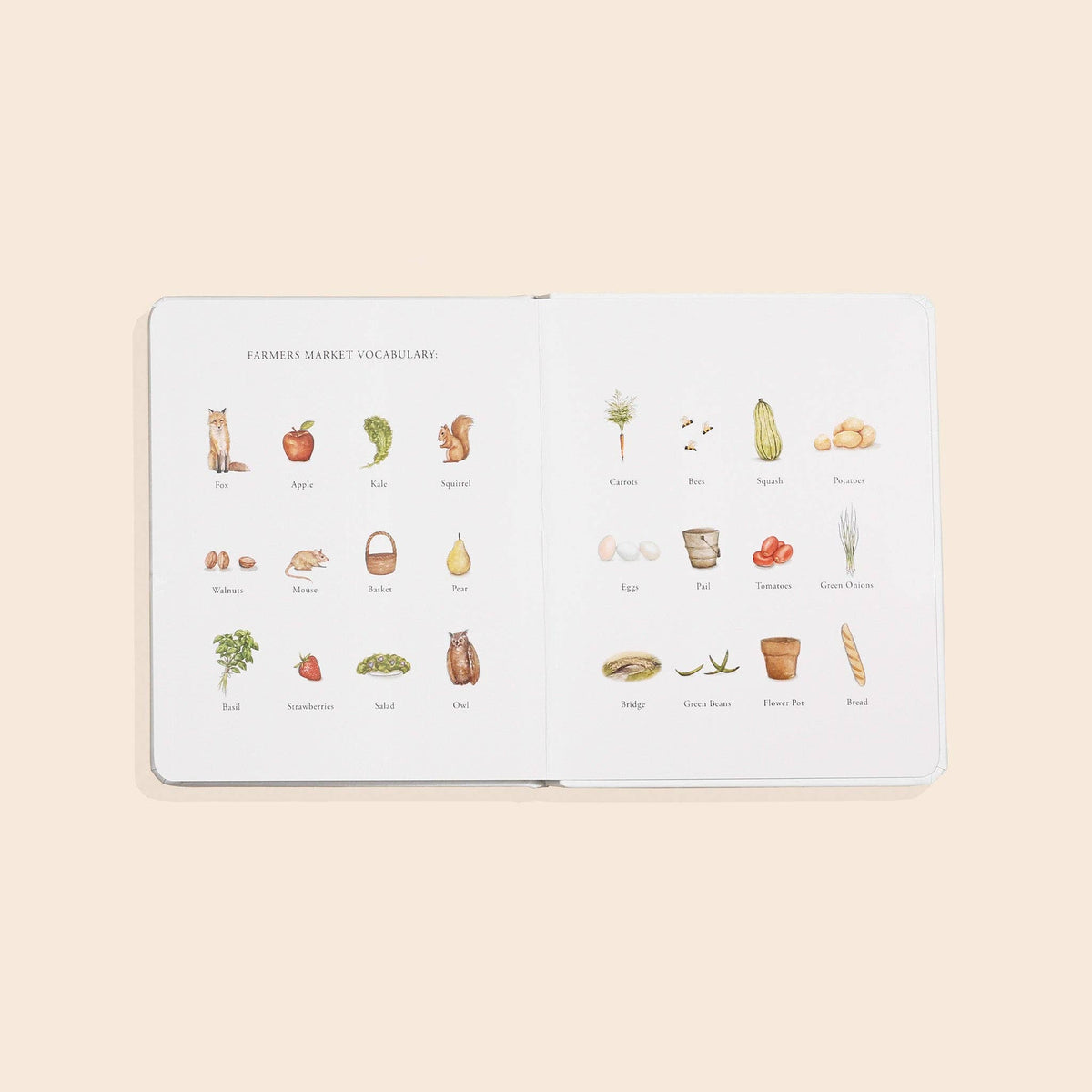 Illustrated vocabulary book with food-themed illustrations on a beige background