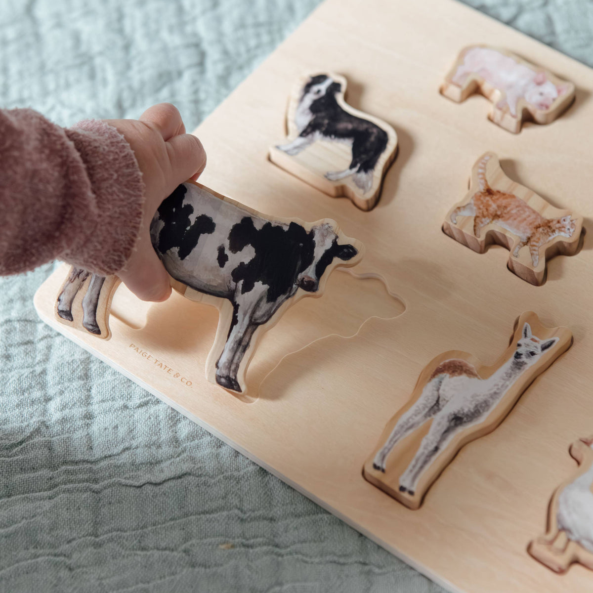 Wooden puzzle with animal shapes on a textured surface