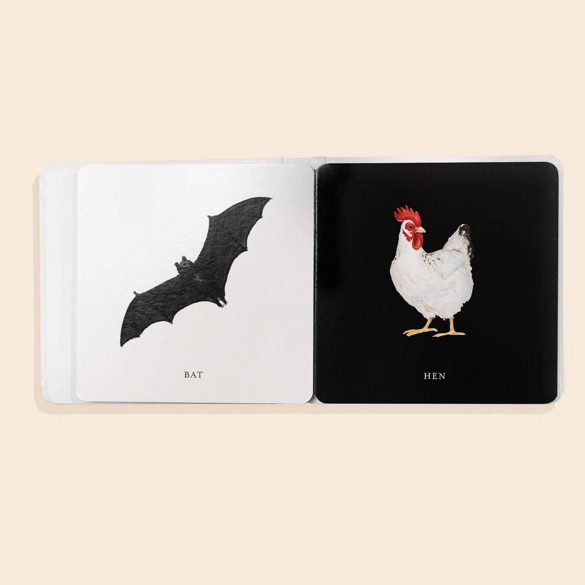 Open book with illustrations of a bat and a hen on black pages.