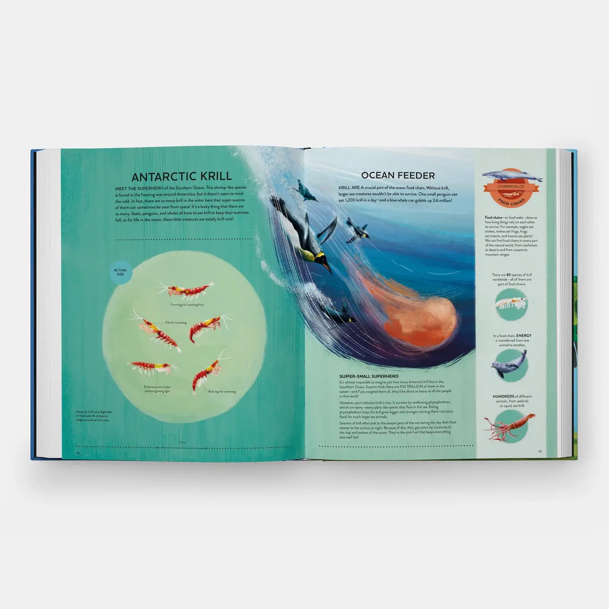 Open book showing an educational illustration about Antarctic Krill and Ocean Feeder on a white background