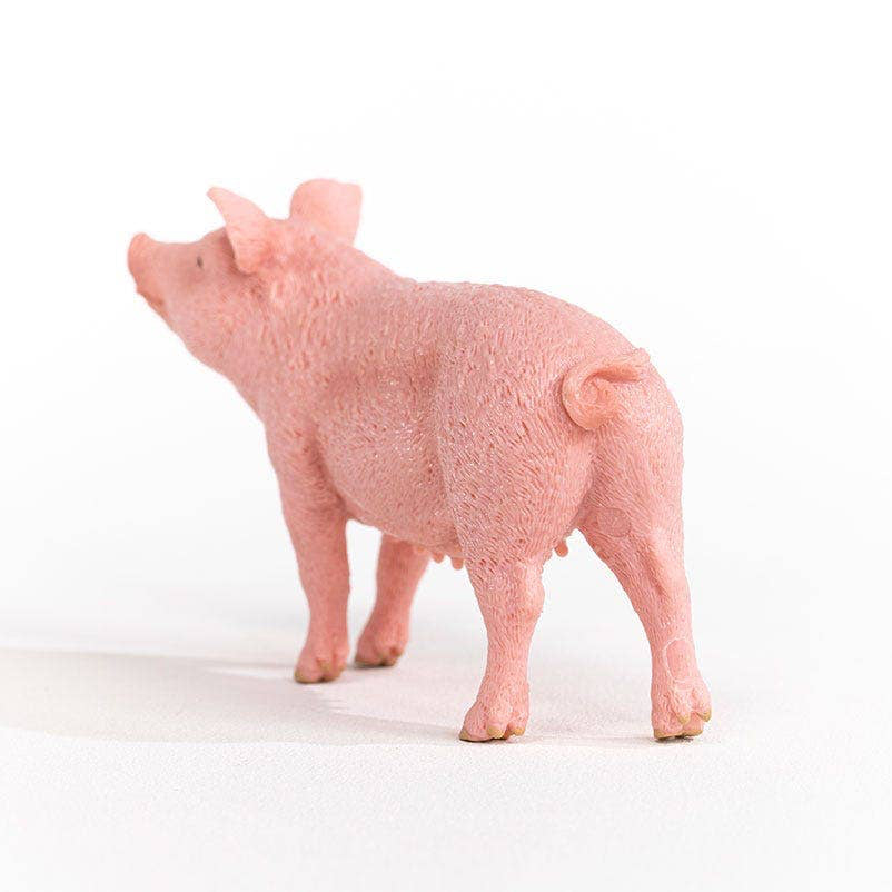 Pink pig figurine on a white background