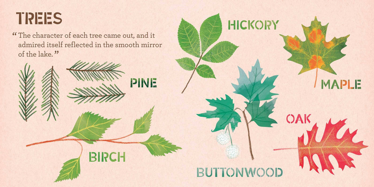 Walden A Nature Primer