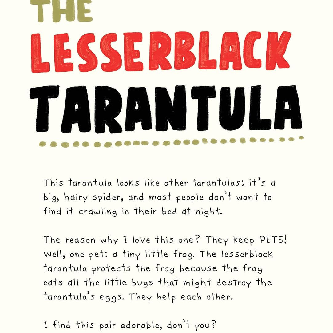 Text about the Lesserblack Tarantula with colorful lettering on a white background