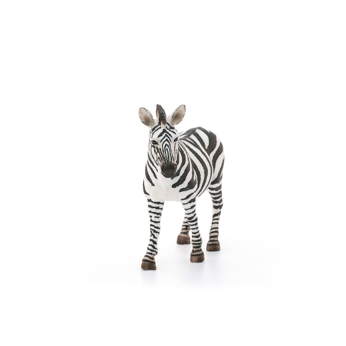 Zebra figurine on a white background