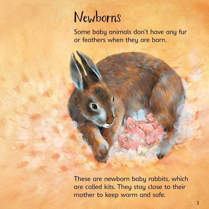 Book page with a rabbit illustration and text about newborn baby animals on an orange background.