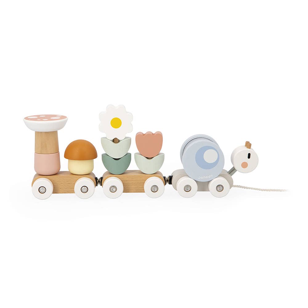 Colorful wooden toy train with various shaped cars on a white background