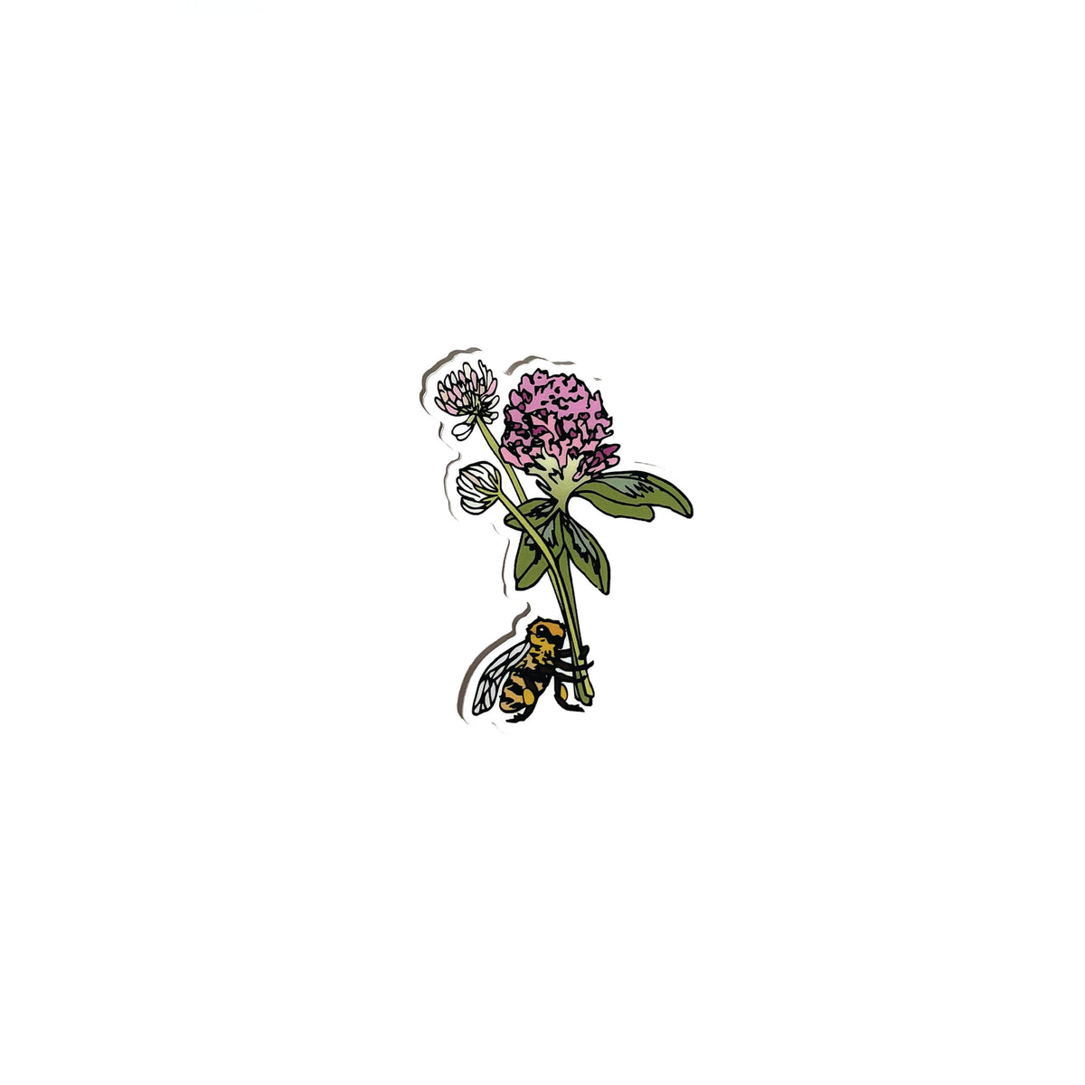 Illustration of a bee on clover flowers on a white background