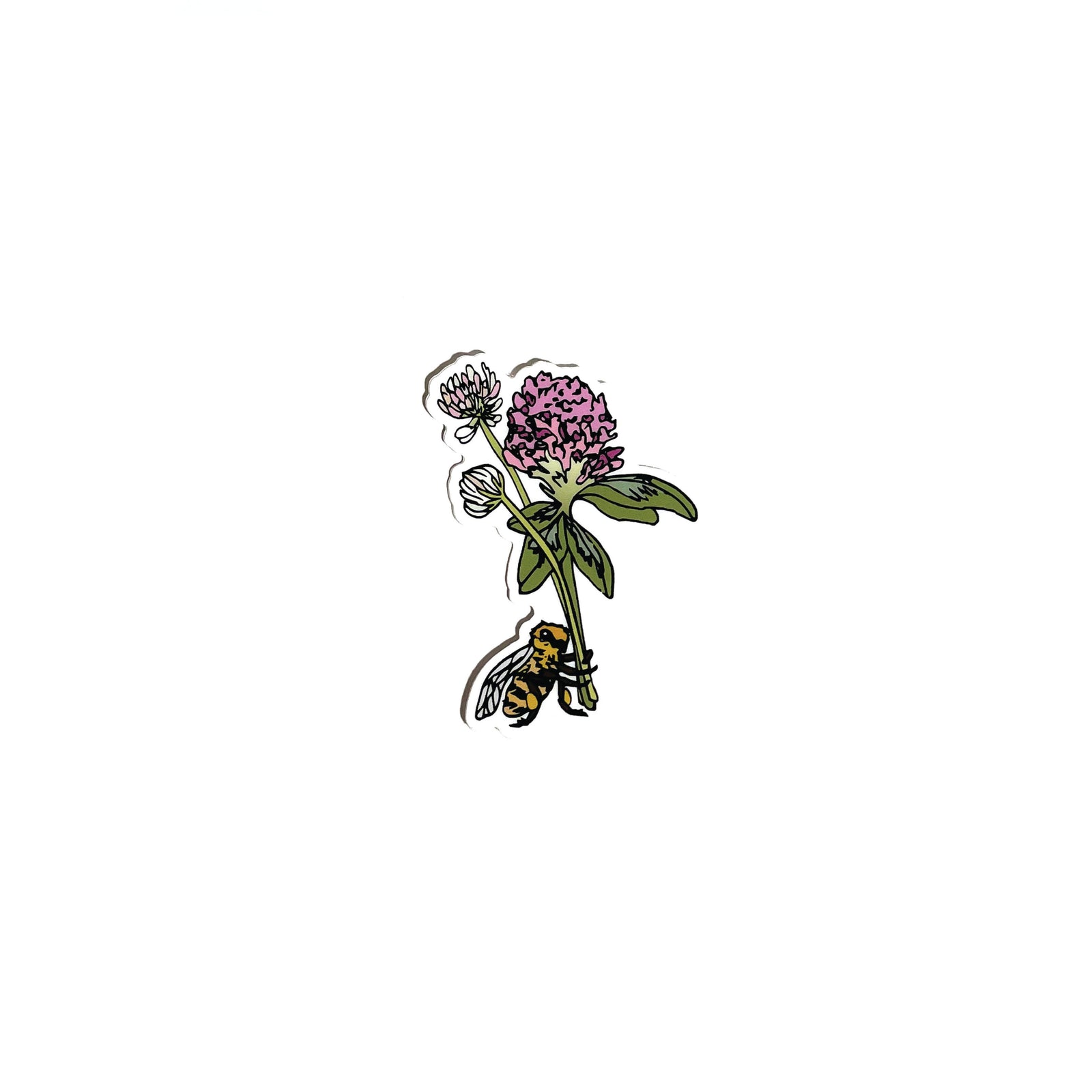 Illustration of a bee on clover flowers on a white background