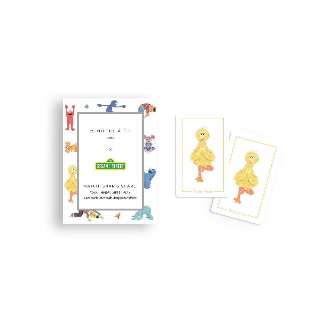 Packaging of Sesame Street-themed cards with character illustrations on a white background.