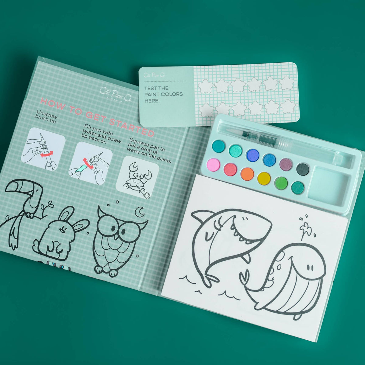 Coloring book with shark design, paint palette, and instruction sheet on a green background