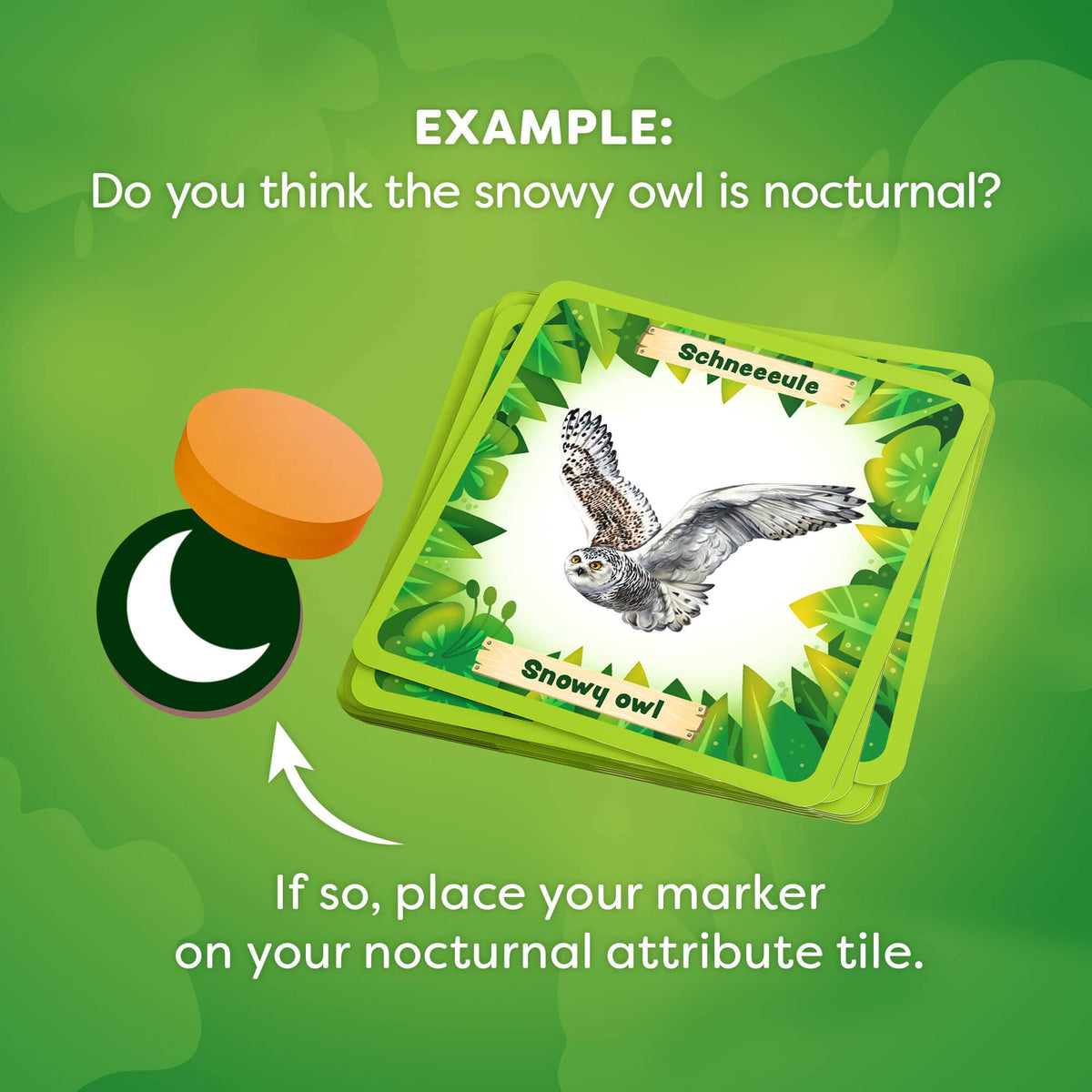 Card game instruction with snowy owl illustration and marker on green background