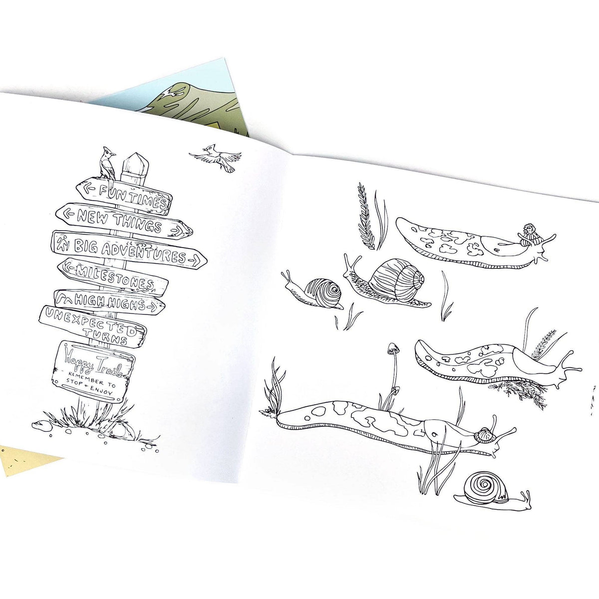 Coloring book with nature-themed illustrations and text on a white background